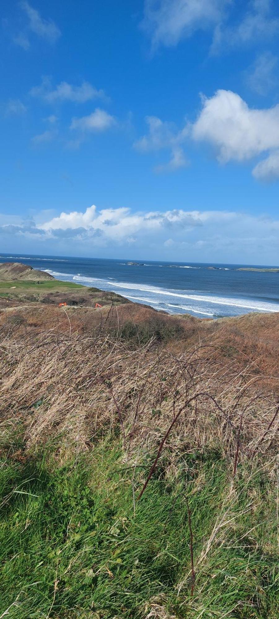 Braeside B&B Bushmills Kültér fotó